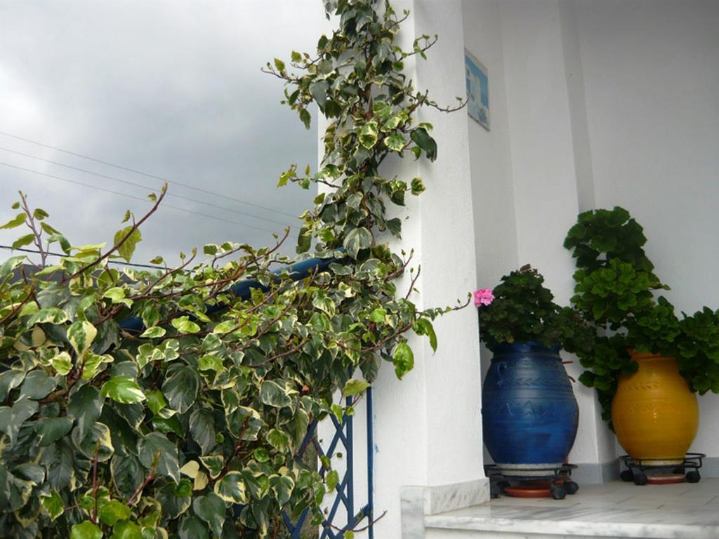 Villa Stegiovana Stavros  Esterno foto